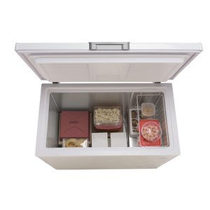 Freezer Horizontal 300 L Blanca Patrick - FHP300B